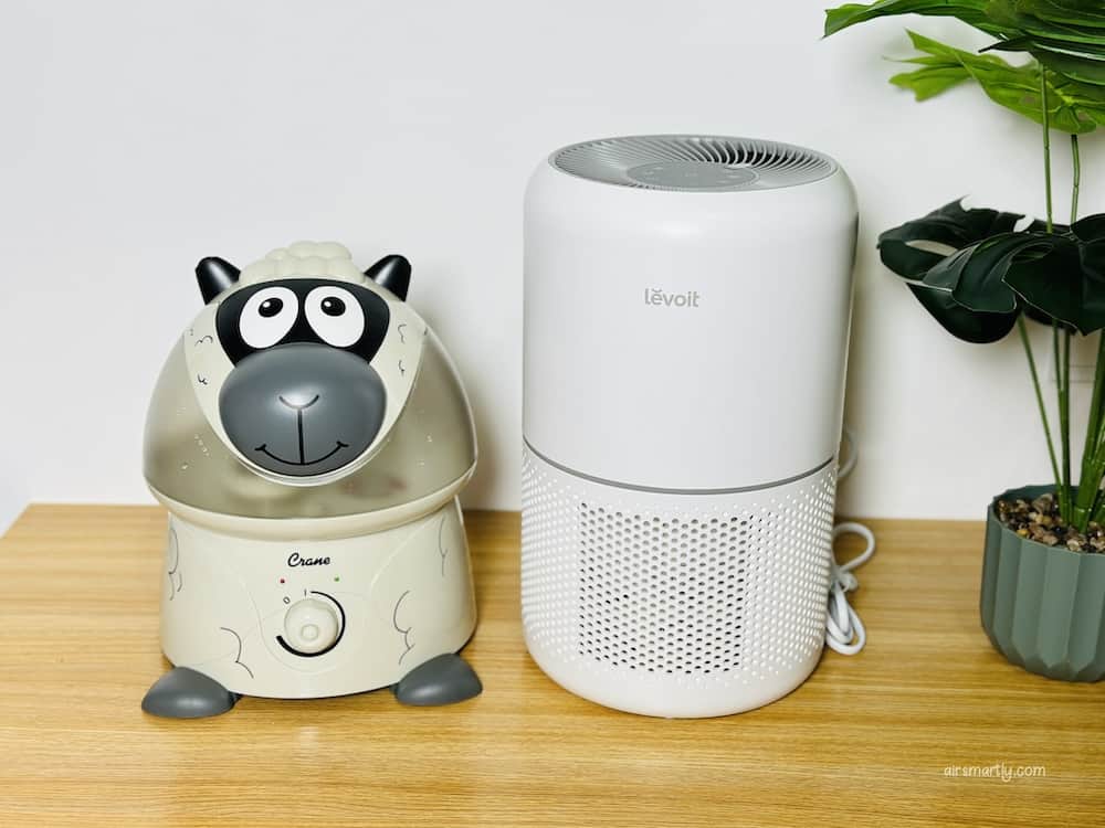 Can You Use an Air Purifier and a Humidifier Together