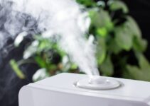 How Long Does It Take For A Humidifier To Work? (7 Factors Analyzed)
