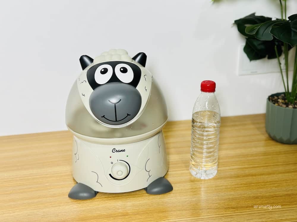 What Type of Water Is Best for a Humidifier