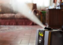 What Does An Ionizer Do In A Humidifier? Do You Need It?