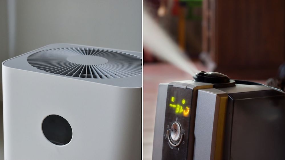 air purifier and humidifier