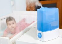 Do You Put Hot Or Cold Water In A Humidifier? & Why?
