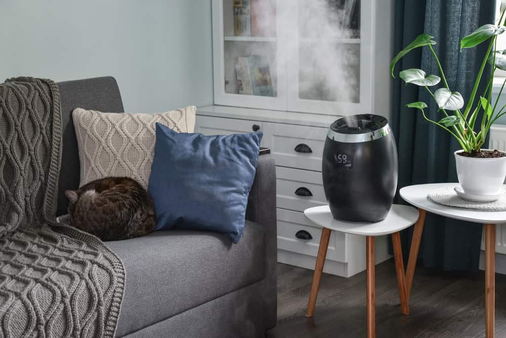is a humidifier good for cats