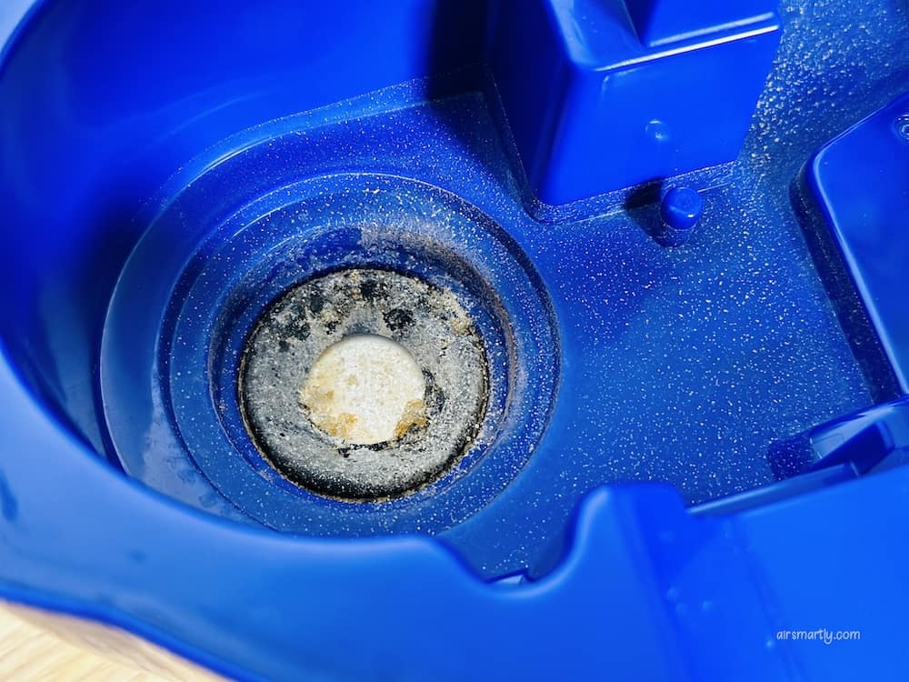 mold in humidifier