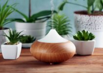 Can You Use a Diffuser as a Humidifier for Plants?