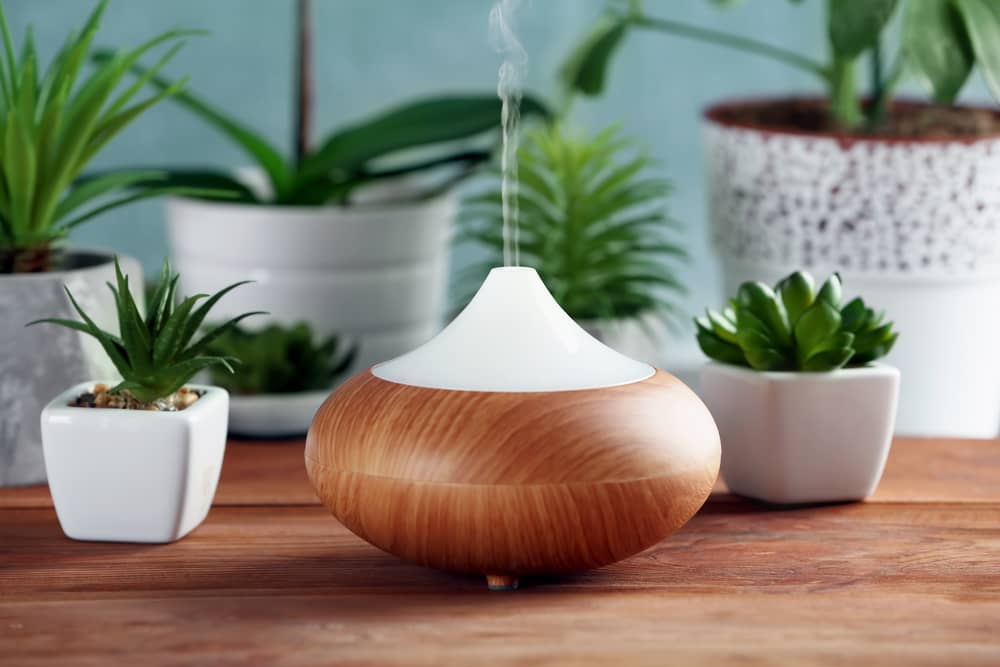 Can you use a diffuser as a humidifier for plants