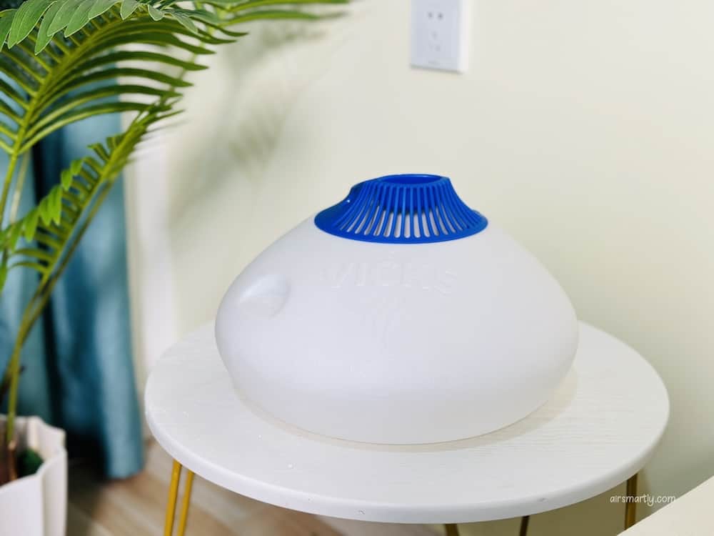 Things to consider when placing a humidifier for plants