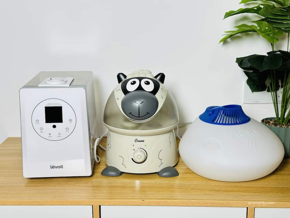 cool mist humidifiers and warm mist humidifiers