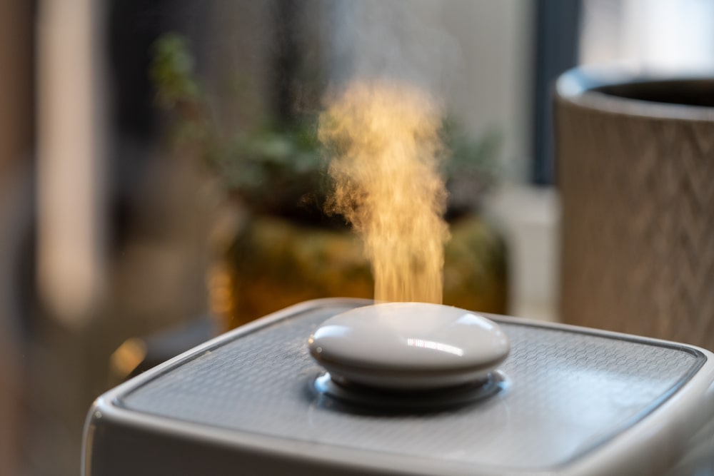 what can i put in my humidifier to kill bacteria