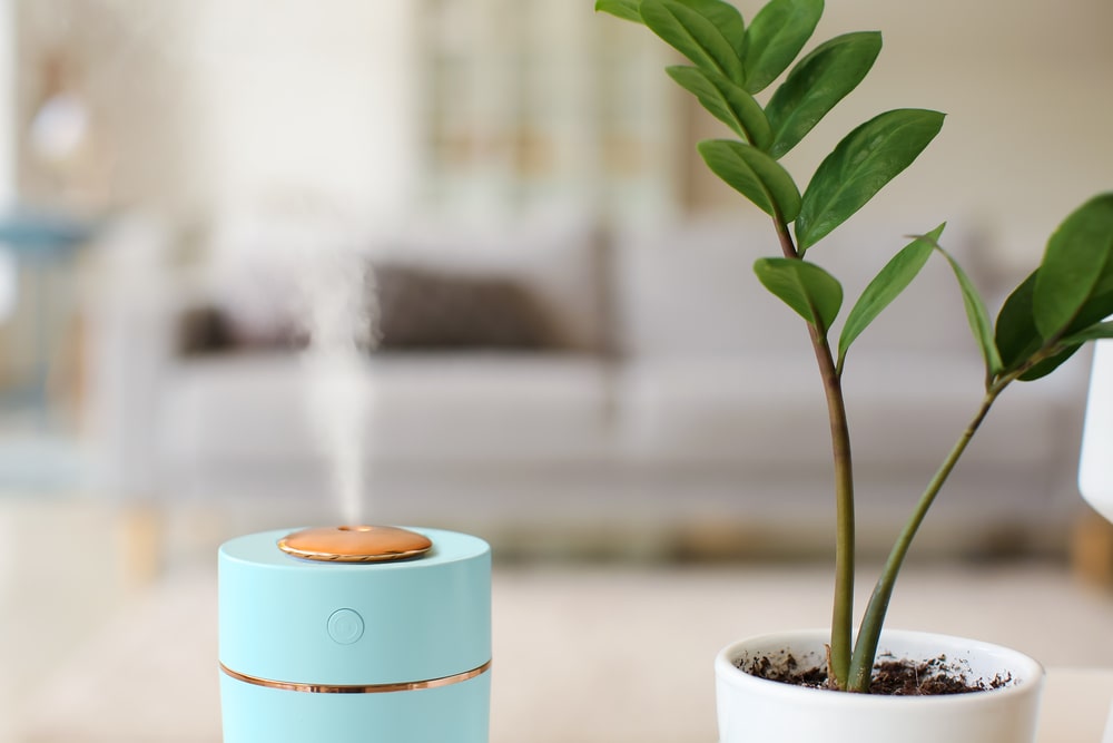 what to consider when placing a humidifier