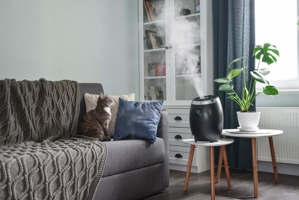 when should i use a humidifier for my plants