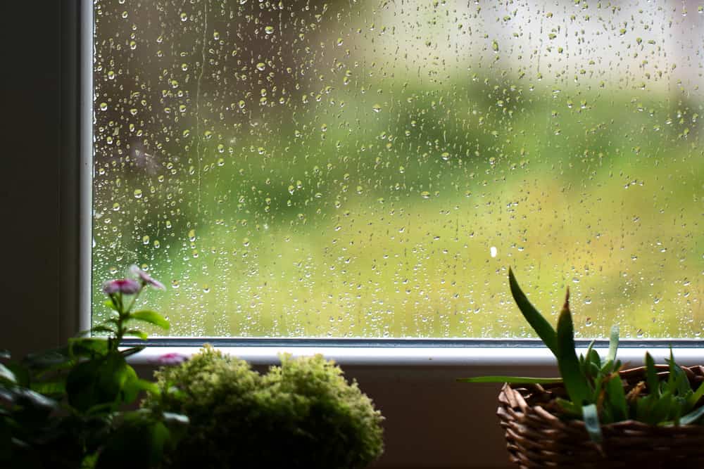 condensation on window and door