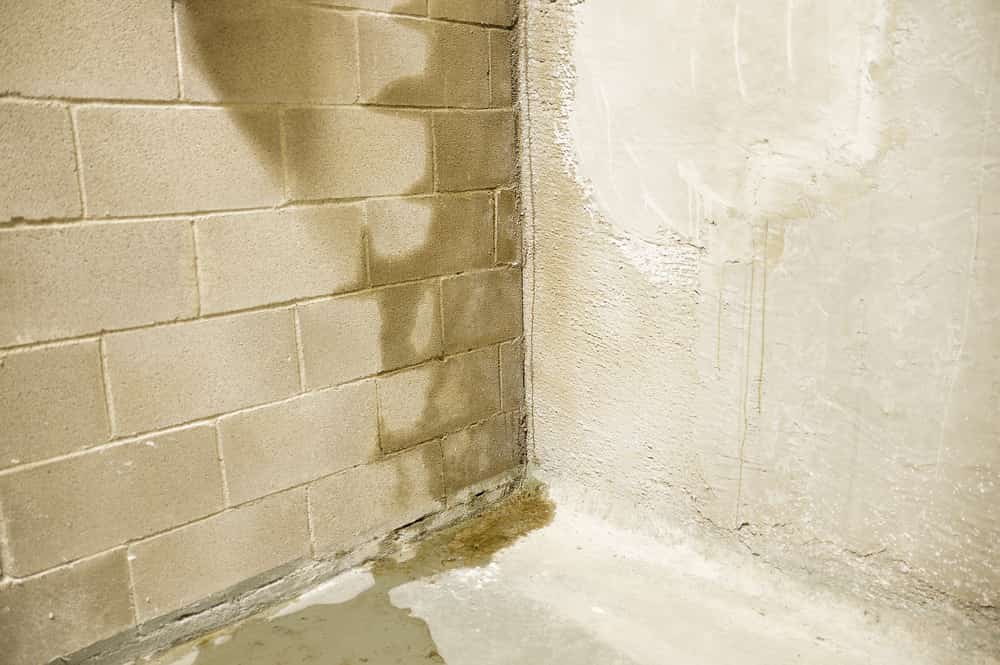 dampness in basement