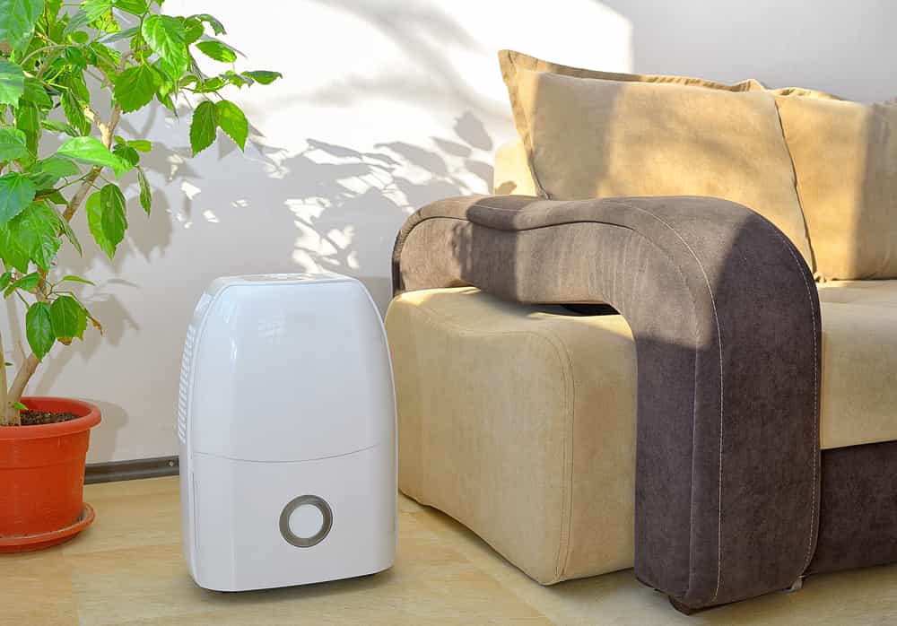 where to place dehumidifier