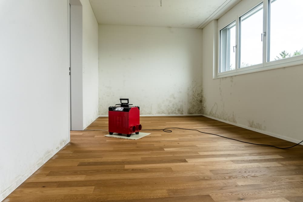 do dehumidifiers help with dust