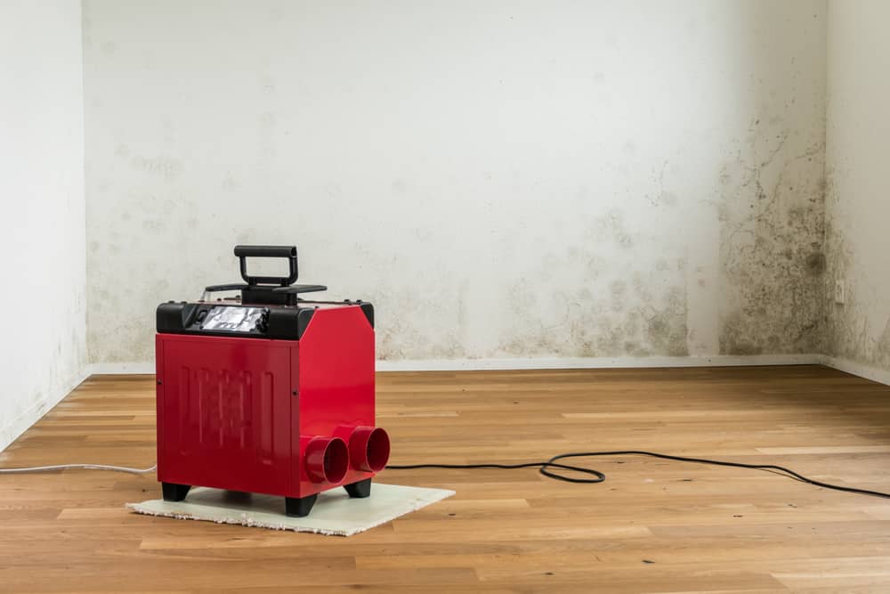 how to remove musty smell with dehumidifier