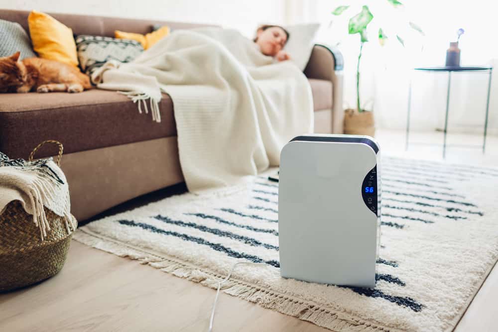 Do Dehumidifiers Work In Cold Rooms