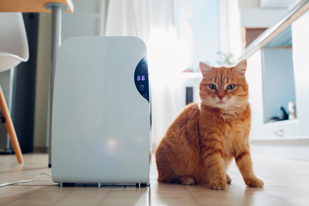 are dehumidifiers safe for pets