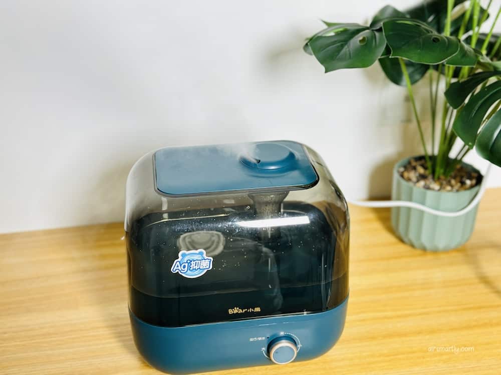 Bear Humidifiers for Bedroom mist